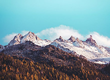 99tk澳门相关骗局复盘：他们最爱利用的心理是沉没成本：域名、证书、签名先核对